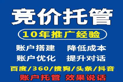 竞价托管服务对比：不同平台的优劣分析